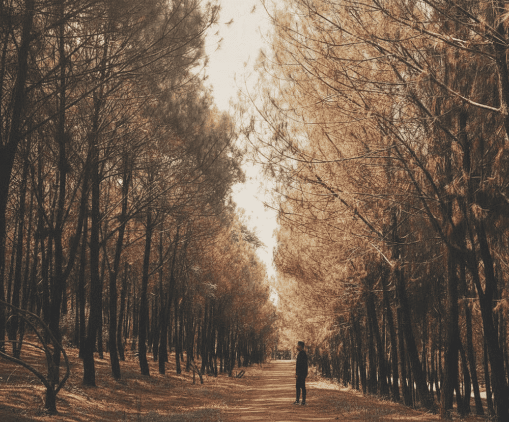 Du khách nên mang giày thể thao hoặc giày dép thoải mái vì đến đồi Vọng Cảnh sẽ cần tản bộ và leo dốc nhiều